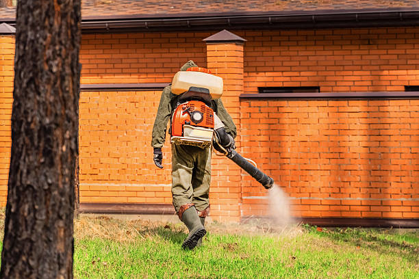 Trusted Rodent Control service in La Cañada Flintridge, CA - Nex Pest Control